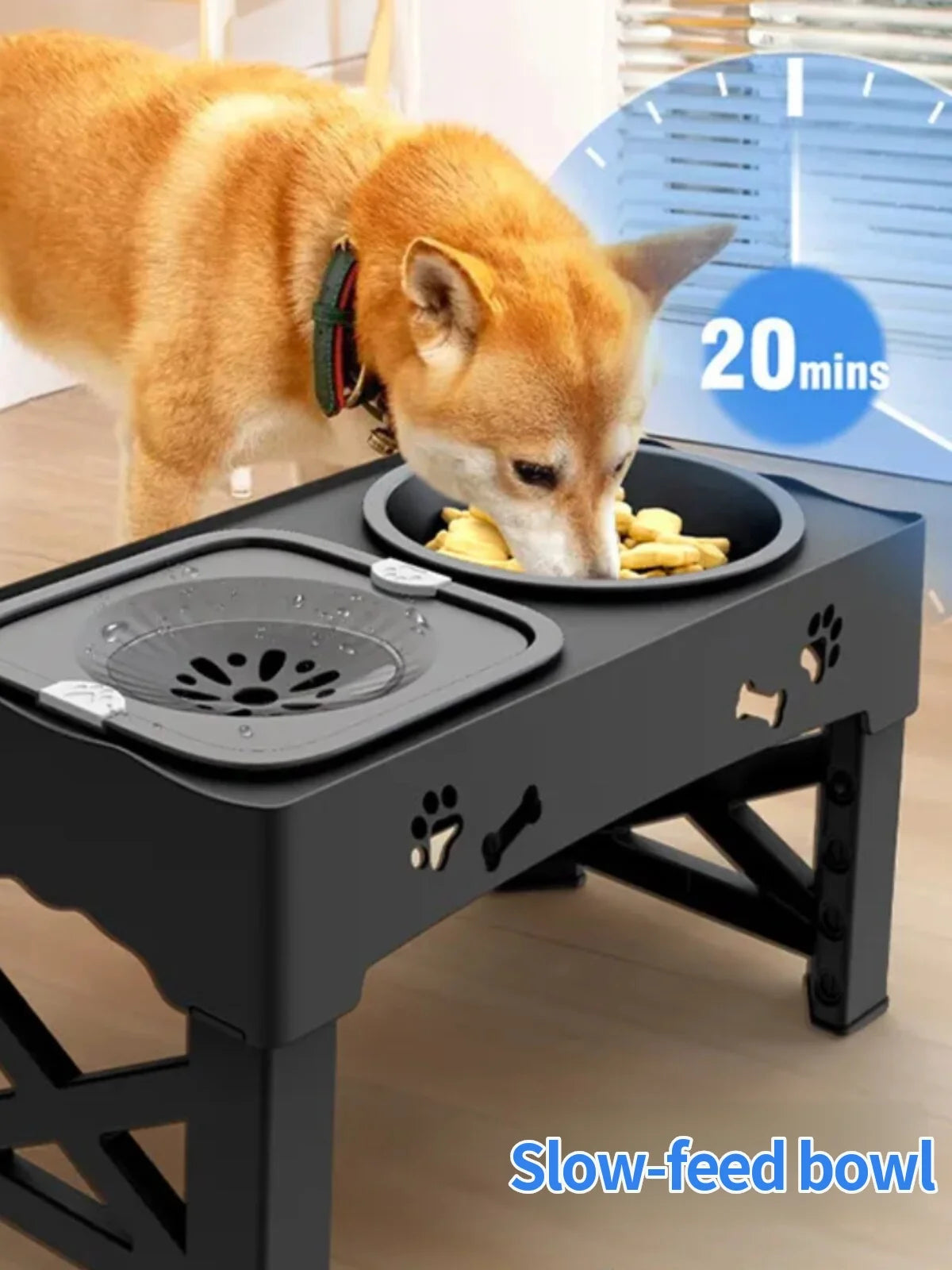 Adjustable elevated pet dining station with stainless steel slow-feed bowl and floating design